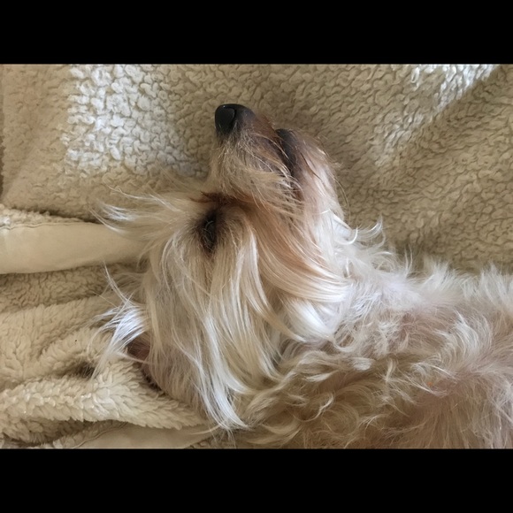 Meet your Posher, Martha - Picture 1 of 1